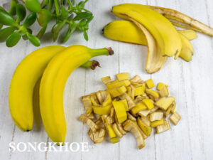 vỏ chuối có tác dụng gì