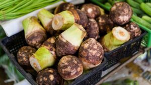 ăn khoai sọ có giảm cân không