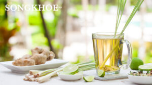 Uống nước sả gừng có giảm cân