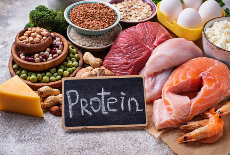 Các thức ăn giàu protein giảm cân
