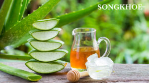 Cách làm nước ép nha đam mật ong giảm cân