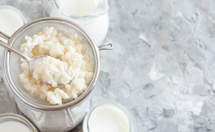 Cách làm sữa chua Hy Lạp giảm cân bằng nấm sữa kefir