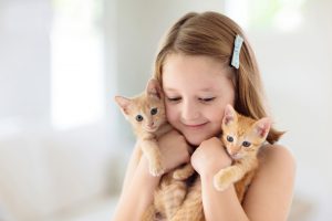 Thịt mèo có chất dinh dưỡng gì?