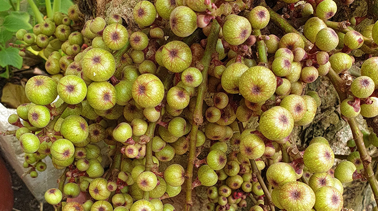 Lưu ý quan trọng