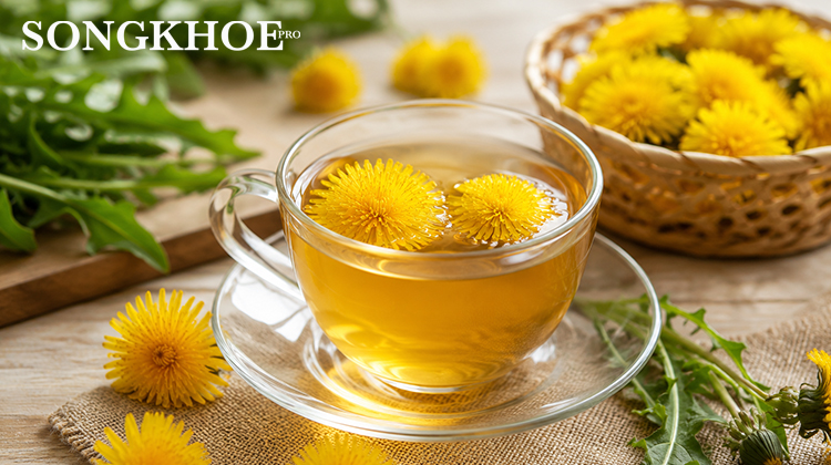 Tác hại của trà bồ công anh