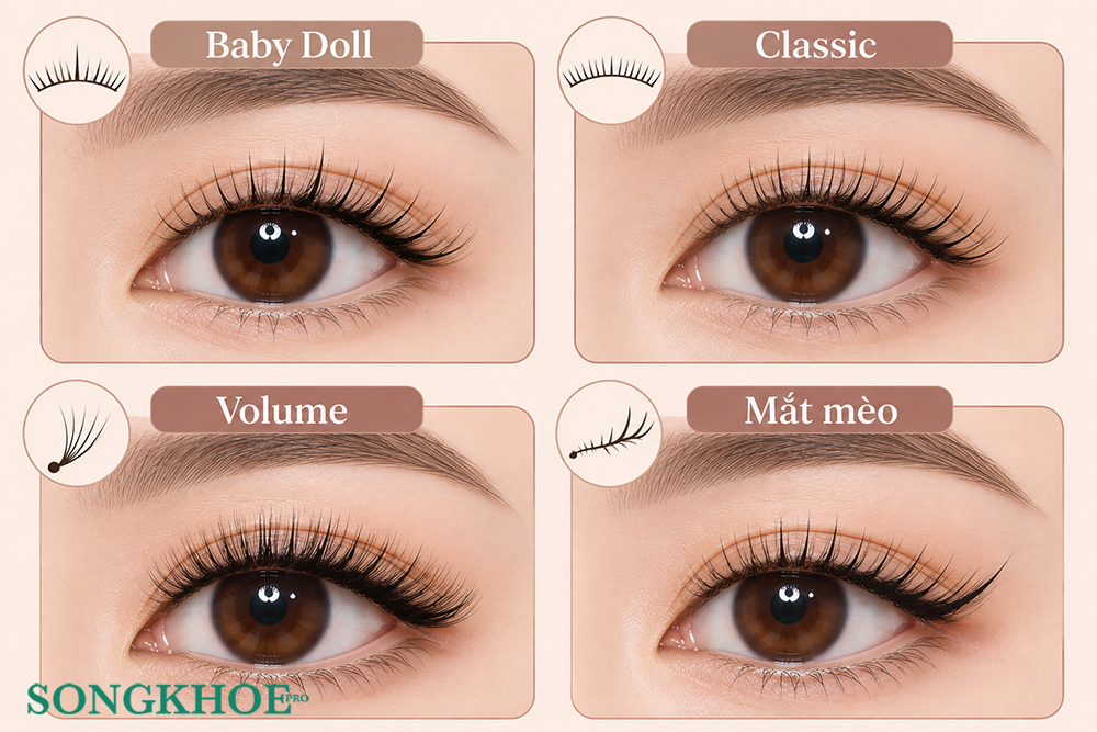 Nối mi Baby Doll khác Classic, Volume và mắt mèo thế nào?