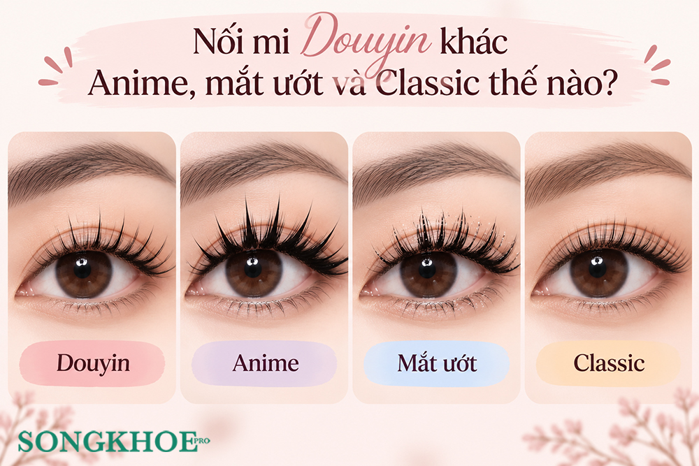 sự khác nhau giữa các kiểu mi 