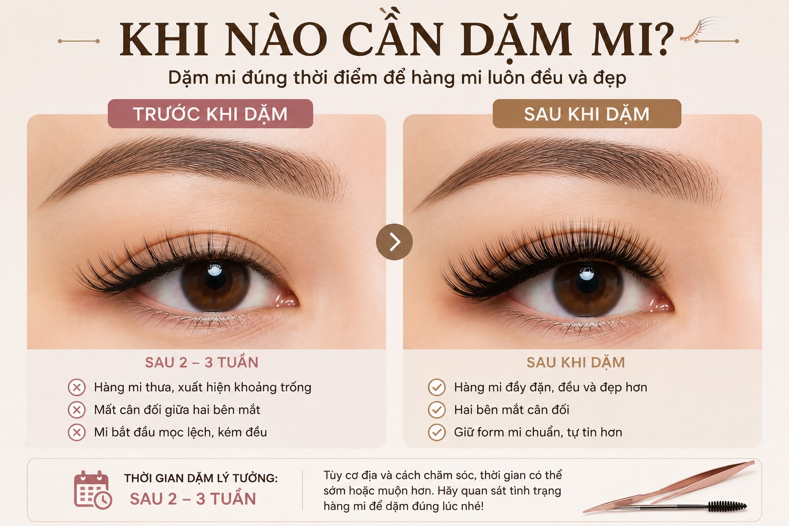 khi nào cần dặm mi? 
