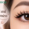 Nối mi mắt mèo là gì? 5 kiểu đẹp giúp mắt dài và sắc nét hơn