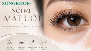 Nối mi mắt ướt là gì? 6 kiểu đẹp từ tự nhiên đến cá tính