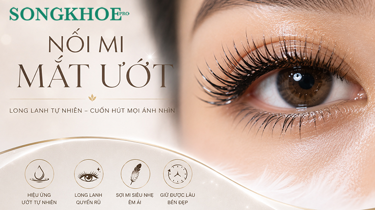 Nối mi mắt ướt