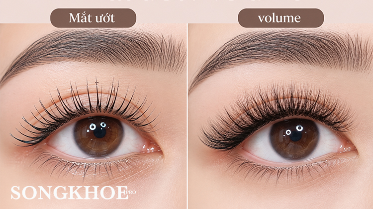 mắt ướt và volume