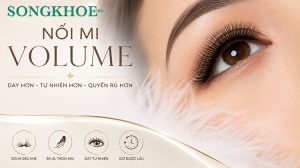 Nối mi Volume là gì? Chọn 3D, 5D hay kiểu mỏng tự nhiên?